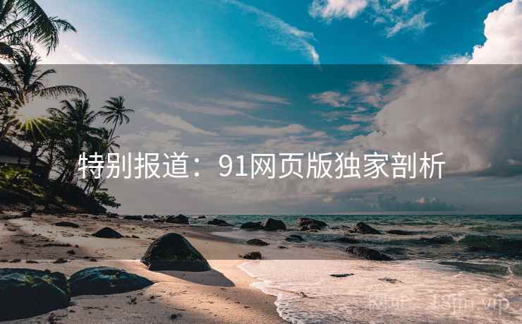 特别报道：91网页版独家剖析