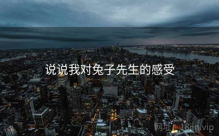 说说我对兔子先生的感受