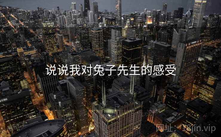 说说我对兔子先生的感受 说说我对兔子先生的感受