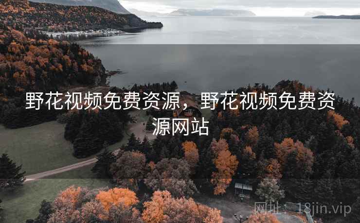 野花视频免费资源，野花视频免费资源网站