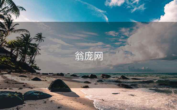 翁庞网