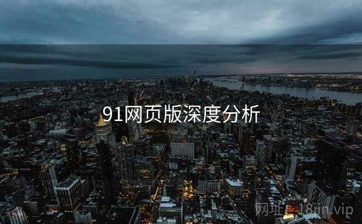 91网页版深度分析