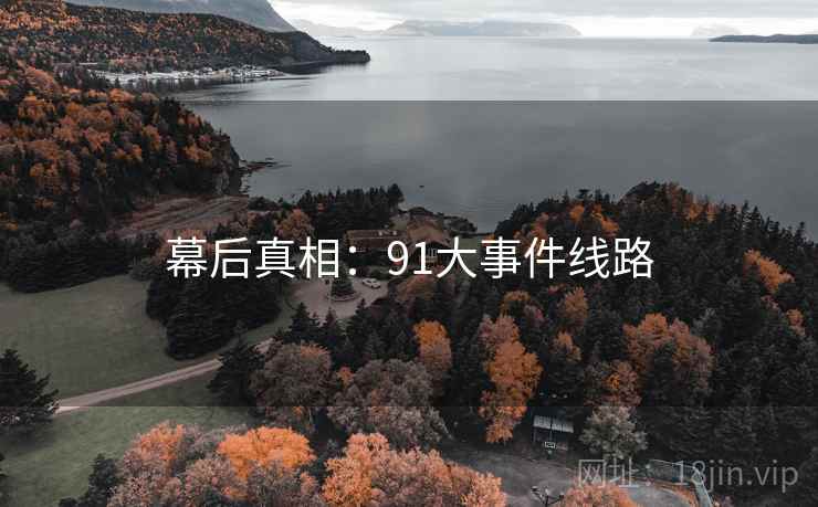 幕后真相:91大事件线路 幕后真相:91大事件线路