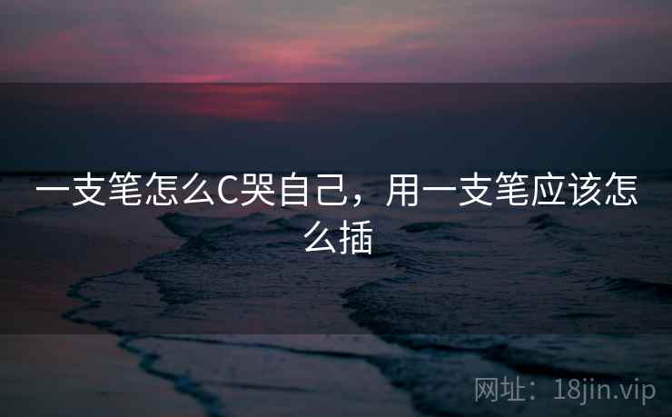 一支笔怎么C哭自己，用一支笔应该怎么插